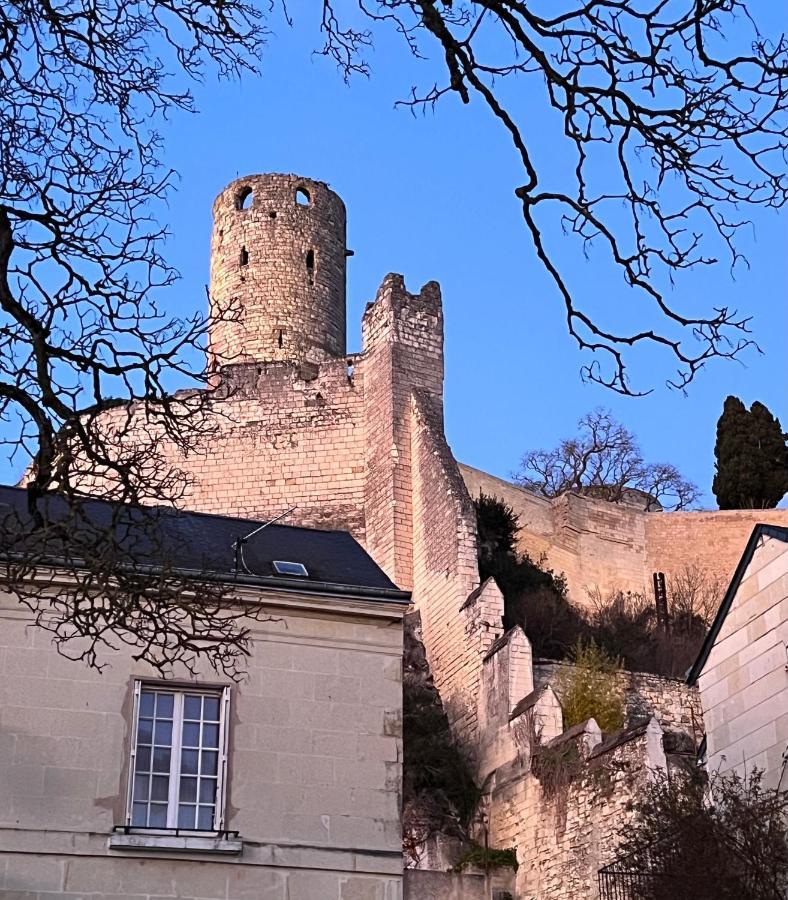 Le Rabelais, Superbe Appartement En Duplex, Proche Forteresse Et Monument Historique Σινόν Εξωτερικό φωτογραφία